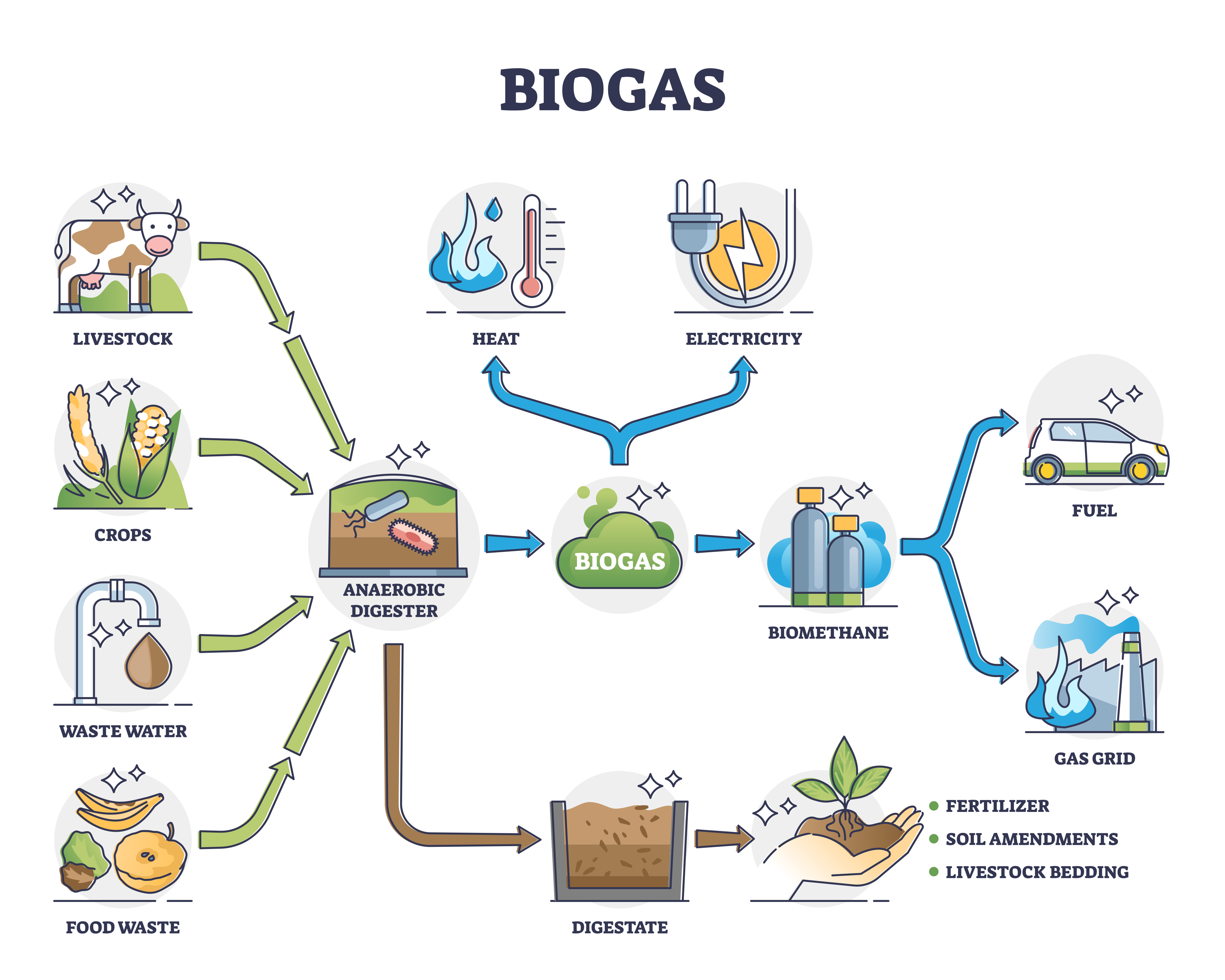 Bio-gas ecosystem